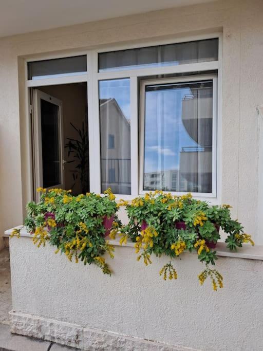 Holiday Home Apartment Budva Zewnętrze zdjęcie
